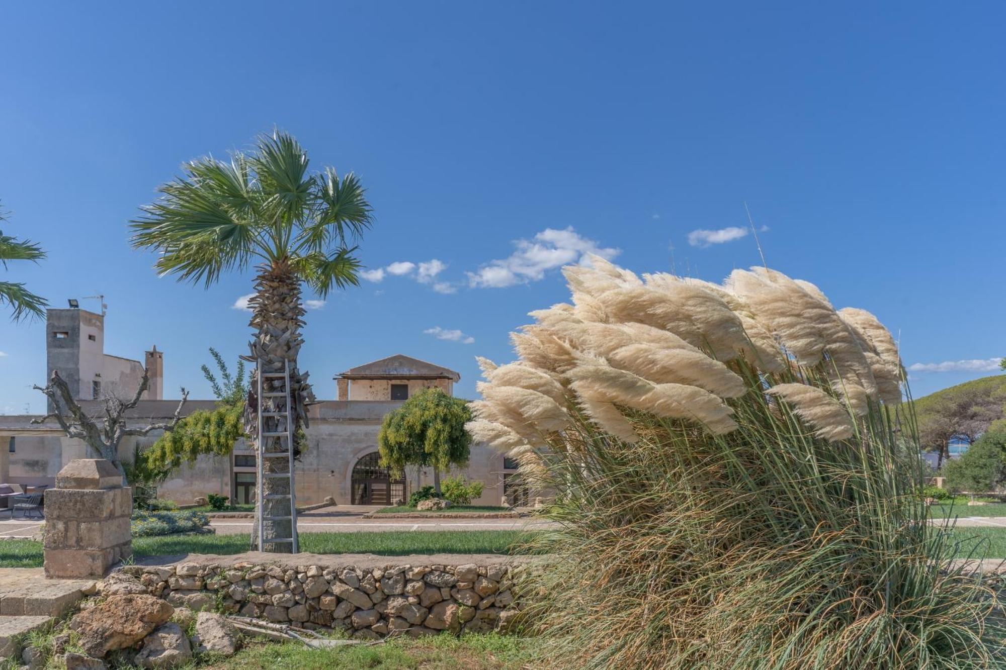 Masseria Casina Bellanova Porto Cesareo Eksteriør bilde